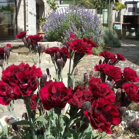 Ecuries Sainte Croix Carcassonne