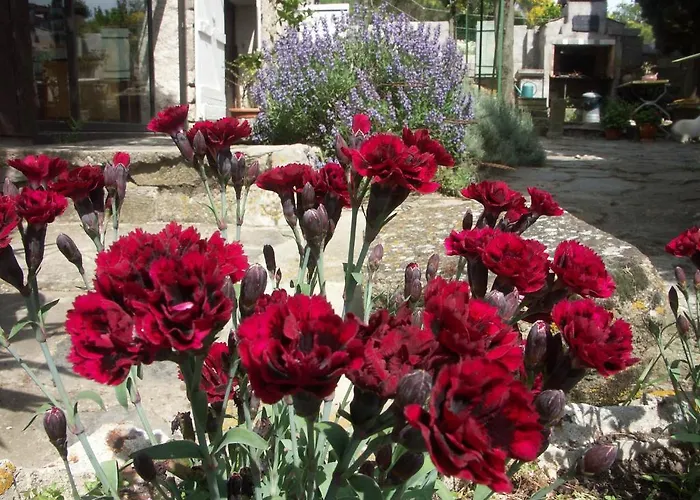 Ecuries Sainte Croix Carcassonne